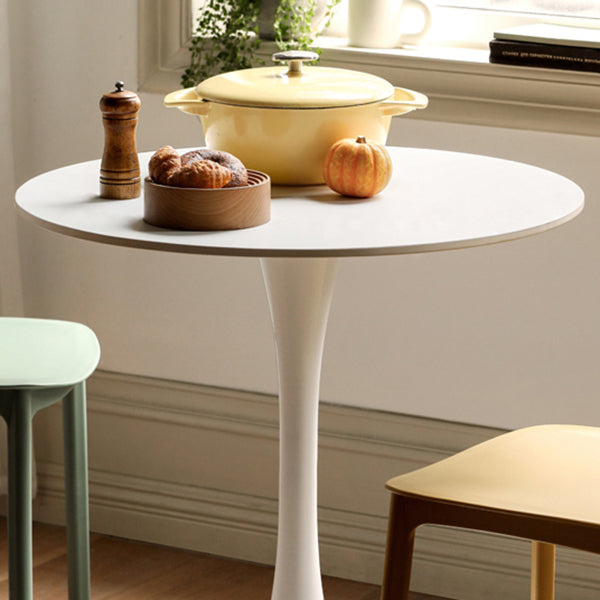White Round Dining Table Stone Top Dining Table with Tulip Base Clearhalo 'Dining Tables & Seating' 'Dining Tables' 'dining_table' 'furn' 'furn_dining_table' 'Furniture' 'Kitchen & Dining Furniture' 7460642