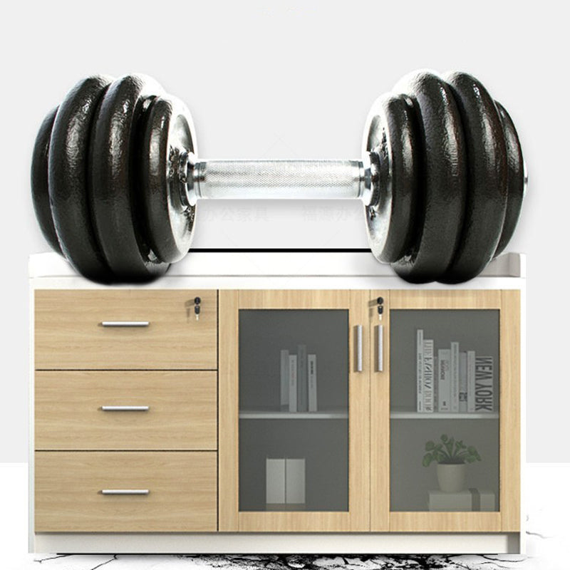 Modern Style File Cabinet Wooden Frame Storage Lateral File Cabinet Clearhalo 'Filing Cabinets' 'filling_cabinets' 'furn' 'furn_filling_cabinets' 'Furniture' 'Office Furniture' 7474555