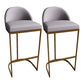 Low Back Bar Stools Glam Metal Dining Stools with Metal Base Gold 2 Piece Set Bucket Clearhalo 'Bar Furniture' 'Bar Stools' 'bar_stools' 'furn' 'furn_bar_stools' 'Furniture' 'Kitchen & Dining Furniture' 7499898