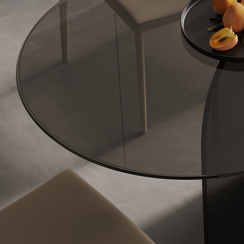 Modern Transparent Gray Glass Desktop Ellipse Dining Table for Dining Room Clearhalo 'Dining Tables & Seating' 'Dining Tables' 'dining_table' 'furn' 'furn_dining_table' 'Furniture' 'Kitchen & Dining Furniture' 7519561