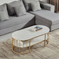 Oval Top Coffee Table Steel Sled Base Cocktail Table with Shelf