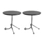 Pedestal Silver Base End Table with Round Top Sofa Side Accent Table Black Wood 2 Clearhalo 'Coffee & Accent Tables' 'End & Side Tables' 'end_side_tables' 'furn' 'furn_end_side_tables' 'Furniture' 'Living Room Furniture' 7579488