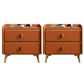 Leather Bed Nightstand Modern Bedside Cabinet with 2 Drawers