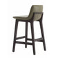 Contemporary Low Back Indoor Armless Bar Stool with Backrest