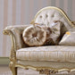 Glam Upholstered Chaise Lounge Couch Wood Chaise Lounge Chair Clearhalo 'Chairs & Seating' 'Chaise Lounge' 'chaise_lounge' 'furn' 'furn_chaise_lounge' 'Furniture' 'Living Room Furniture' 7606858