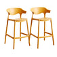 Contemporary Low Back Plastic Armless Bar Stools with Footrest