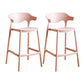 Contemporary Low Back Plastic Armless Bar Stools with Footrest