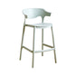 Contemporary Low Back Plastic Armless Bar Stools with Footrest