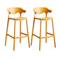 Contemporary Low Back Plastic Armless Bar Stools with Footrest