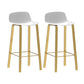 Contemporary Indoor Low Back Armless Bar Stools with Metal Legs