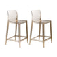 Contemporary Acrylic Low Back Armless Bar Stools with Footrest