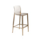 Contemporary Acrylic Low Back Armless Bar Stools with Footrest