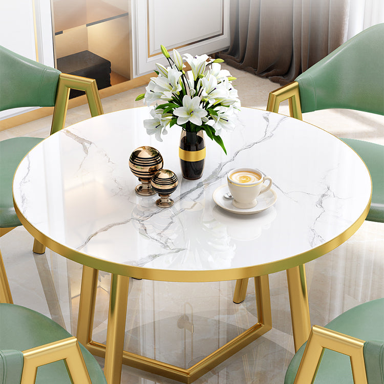 Glam Wood Top Dining Table Round Tabletop with Iron Double Pedestal Base Clearhalo 'Dining Tables & Seating' 'Dining Tables' 'dining_table' 'furn' 'furn_dining_table' 'Furniture' 'Kitchen & Dining Furniture' 7672481