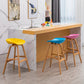 Modern Plastic Low Back Counter & Bar Stool with Solid Wood Base