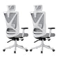 Modern Office Chair No Distressing Ergonomic Slide Chair with Wheels White-Gray 2 Piece Set Without Footrest Clearhalo 'furn' 'furn_office_chair' 'Furniture' 'Office Chairs' 'Office Furniture' 'office_chair' 7677433