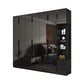 Modern Glass Doors Wardrobe Cabinet Black Bedroom Storage Cabinet