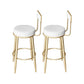 Modern Metal Legs Upholstered Indoor Bar Stool with Footrest