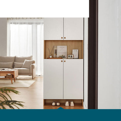 Contemporary Wooden Accent Cabinet with Doors for Living Room