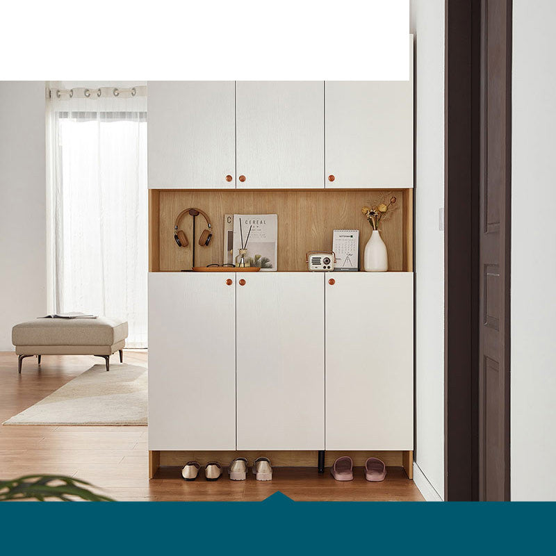 Contemporary Wooden Accent Cabinet with Doors for Living Room