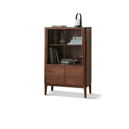 ドア付きのミッドセンチュリーモダンスクエアリビングルームのアクセントキャビネット