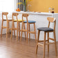 Modern Rubberwood Indoor Bar Stools Natural Finish with Backrest Clearhalo 'Bar Furniture' 'Bar Stools' 'bar_stools' 'furn' 'furn_bar_stools' 'Furniture' 'Kitchen & Dining Furniture' 7734260