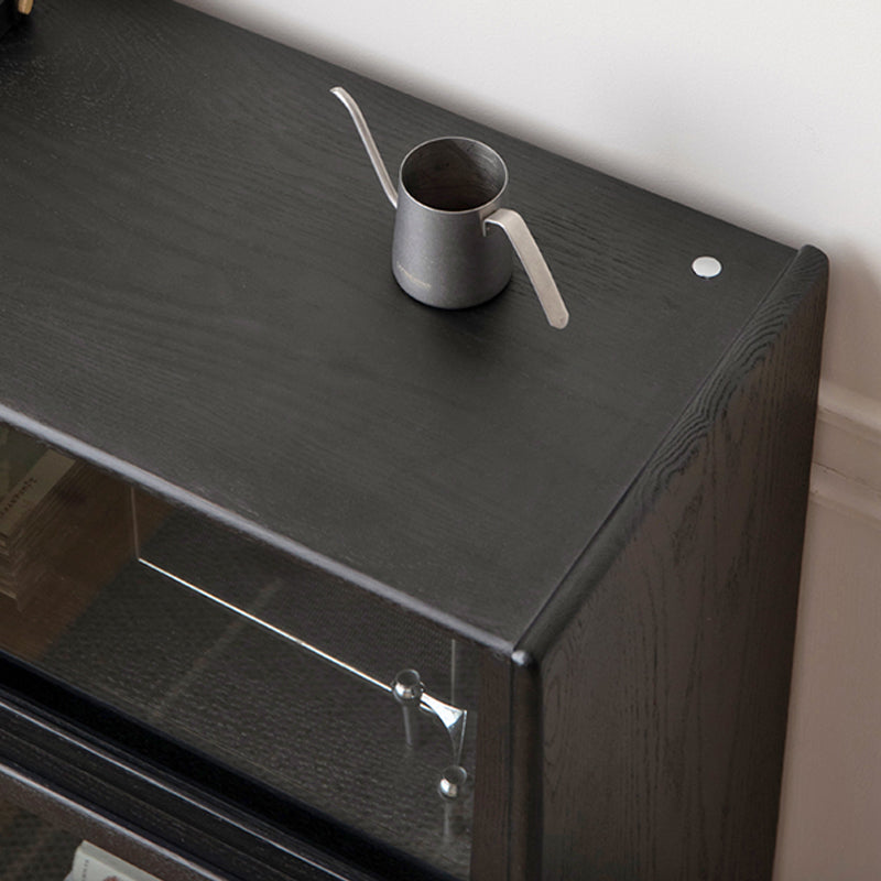 黒い固体のキュリオキャビネット照明付きモダンなガラスのドア