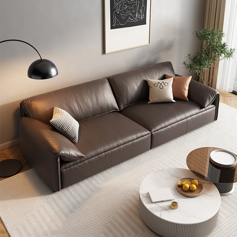 Genuine Leather Contemporary Pillow Top Arm Sofa for Living Room Clearhalo 'furn' 'furn_sofas' 'Furniture' 'Living Room Furniture' 'Sofa' 'sofas' 7739360