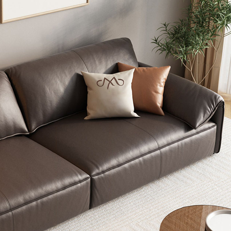 Genuine Leather Contemporary Pillow Top Arm Sofa for Living Room Clearhalo 'furn' 'furn_sofas' 'Furniture' 'Living Room Furniture' 'Sofa' 'sofas' 7739367