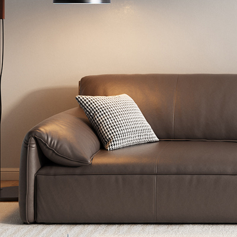 Genuine Leather Contemporary Pillow Top Arm Sofa for Living Room Clearhalo 'furn' 'furn_sofas' 'Furniture' 'Living Room Furniture' 'Sofa' 'sofas' 7739369