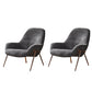 Mid-Century Modern Chenille Lounge Accent Chair for Living Room Gray 2 Piece Set Clearhalo 'Accent Chairs' 'accent_chairs' 'Chairs & Seating' 'furn' 'furn_accent_chairs' 'Furniture' 'Living Room Furniture' 7762643