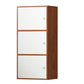 Contemporary Wardrobe Armoire Wood Non-Hanging Armoire with Door