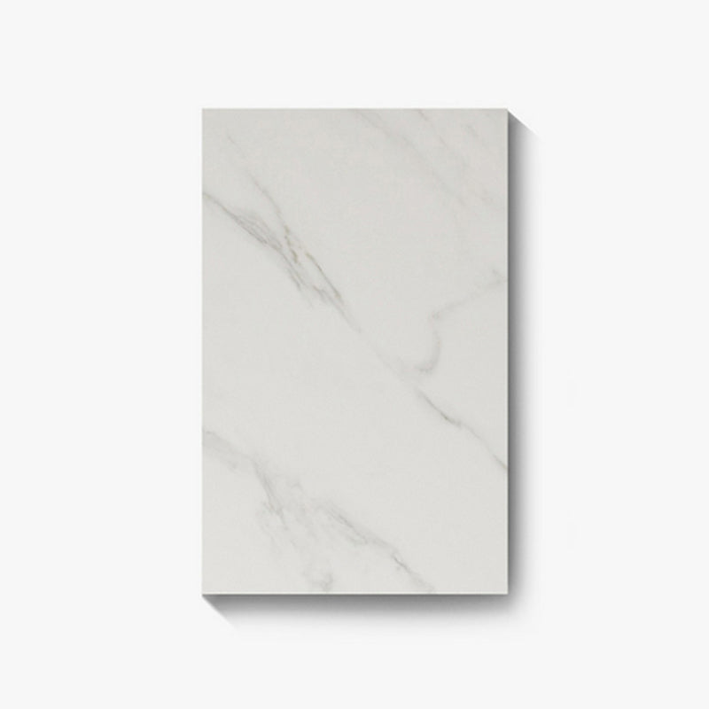 Contemporary Rectangle Sintered Stone Top and Metal Base Dining Table with Chairs