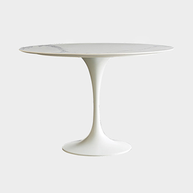 White Modern Round Stone Tabletop Dining Table with Tulip Base White Without Chairs Clearhalo 'Dining Tables & Seating' 'Dining Tables' 'dining_table' 'furn' 'furn_dining_table' 'Furniture' 'Kitchen & Dining Furniture' 7793539