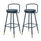 Contemporary Metal Backrest Counter High Stool with Leather Cushion 2 Piece Set Clearhalo 'Bar Furniture' 'Bar Stools' 'bar_stools' 'furn' 'furn_bar_stools' 'Furniture' 'Kitchen & Dining Furniture' 7795217