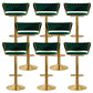 Modern Style Adjustable Backrest Counter Stool with Gold Base and Leather Cushion Green 8 Piece Set Clearhalo 'Bar Furniture' 'Bar Stools' 'bar_stools' 'furn' 'furn_bar_stools' 'Furniture' 'Kitchen & Dining Furniture' 7795297