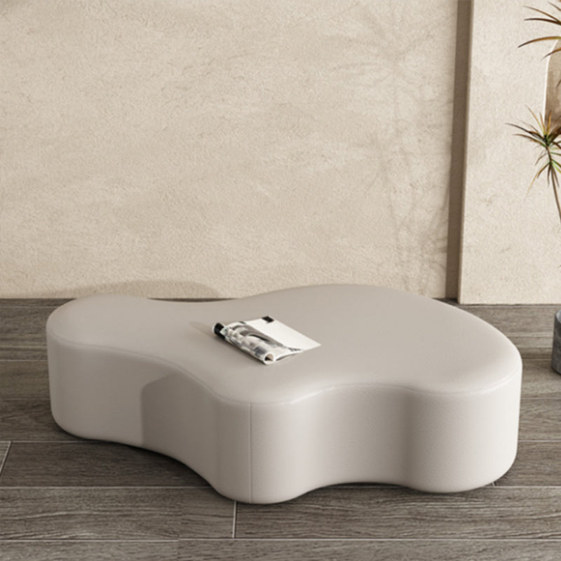 Modern Bedroom Entryway Bench Solid Wood Upholstered Seating Bench Light Gray Clearhalo 'Benches' 'Chairs & Seating' 'furn' 'furn_benches' 'Furniture' 'Living Room Furniture' 7799431