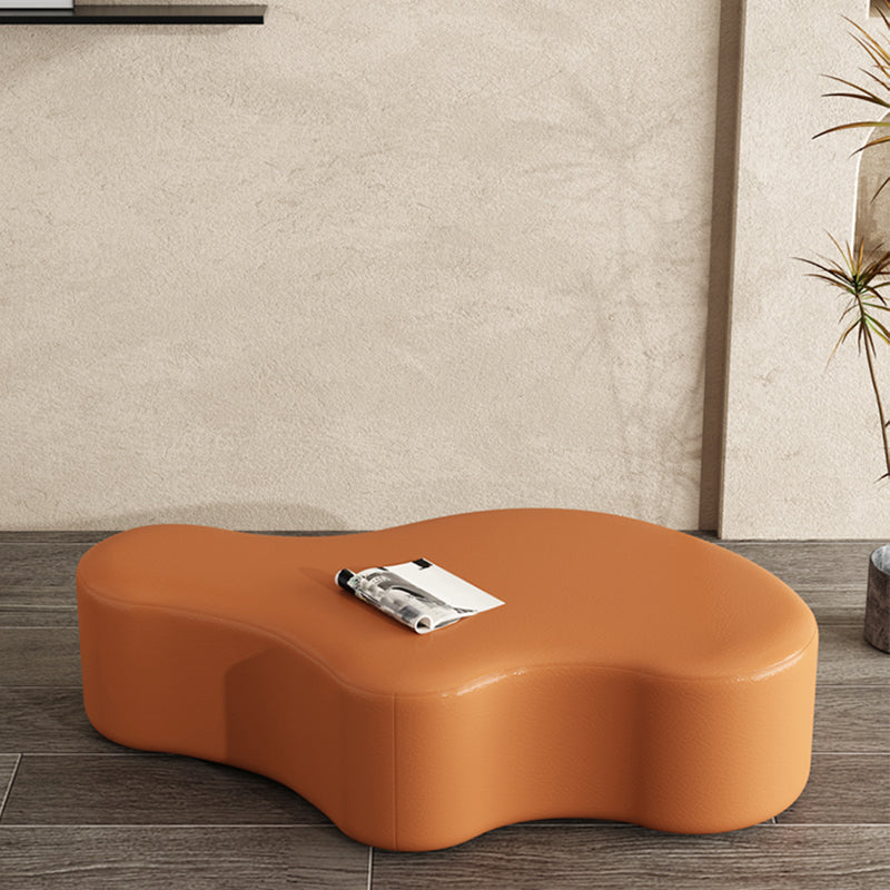 Modern Bedroom Entryway Bench Solid Wood Upholstered Seating Bench Orange Clearhalo 'Benches' 'Chairs & Seating' 'furn' 'furn_benches' 'Furniture' 'Living Room Furniture' 7799432