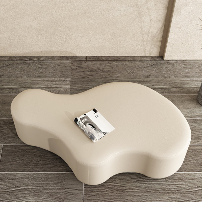 Modern Bedroom Entryway Bench Solid Wood Upholstered Seating Bench Clearhalo 'Benches' 'Chairs & Seating' 'furn' 'furn_benches' 'Furniture' 'Living Room Furniture' 7799433