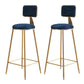 Glam Gold Legs Bar Stools Living Room Upholstered Counter Chair Blue 2 Piece Set Clearhalo 'Bar Furniture' 'Bar Stools' 'bar_stools' 'furn' 'furn_bar_stools' 'Furniture' 'Kitchen & Dining Furniture' 7806505