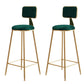 Glam Gold Legs Bar Stools Living Room Upholstered Counter Chair Green 2 Piece Set Clearhalo 'Bar Furniture' 'Bar Stools' 'bar_stools' 'furn' 'furn_bar_stools' 'Furniture' 'Kitchen & Dining Furniture' 7806517