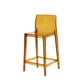 Contemporary Acrylic Armless Low Back Bar Stool with Footrest