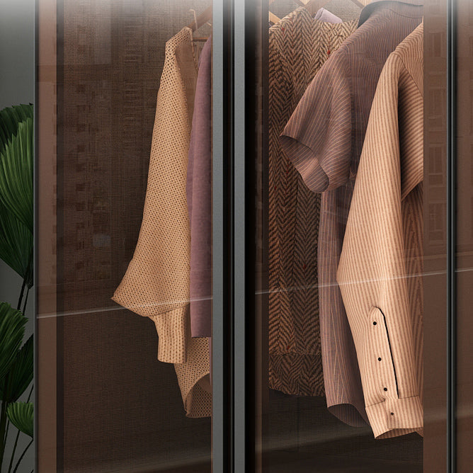 Moderner Kleiderschrankglas und technische Holzgarderobe Schrank