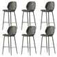 Modern Style Backrest Metal Counter Stool with Leather Cushion Dark Gray 6 Piece Set Clearhalo 'Bar Furniture' 'Bar Stools' 'bar_stools' 'furn' 'furn_bar_stools' 'Furniture' 'Kitchen & Dining Furniture' 7826525