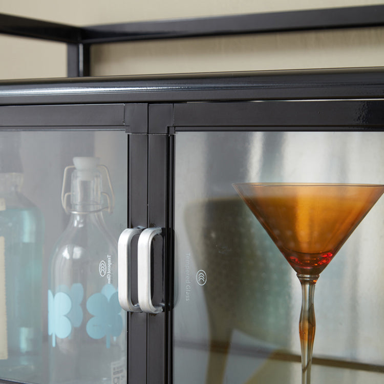 Puertas de vidrio de lado de metal de black metal contemporáneo para sala de estar para sala de estar