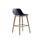 Contemporary Plastic Armless Bar Stool with Beech Solid Wood Base
