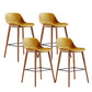 Contemporary Plastic Armless Bar Stool with Beech Solid Wood Base