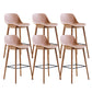 Contemporary Plastic Armless Bar Stool with Beech Solid Wood Base
