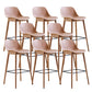 Contemporary Plastic Armless Bar Stool with Beech Solid Wood Base