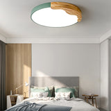 Modern Style Slim Round Ceiling Light Acrylic LED Flush Mount Light for Living Room Green Clearhalo 'Ceiling Lights' 'Close To Ceiling Lights' 'Close to ceiling' 'Flush mount' Lighting' O1CN019wHR4j1L70QwUBoIg__2217718591251-0-cib