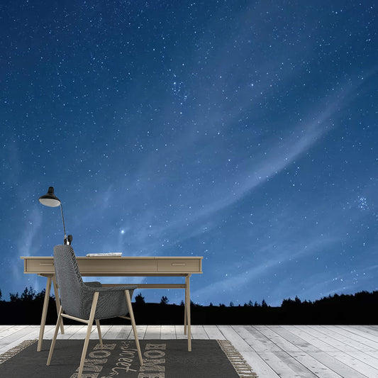 Photo Night Sky Mural Wallpaper for Accent Wall in Dark Blue, Custom Size Available Clearhalo 'Wall Decor' 'Wall Mural' 1048697